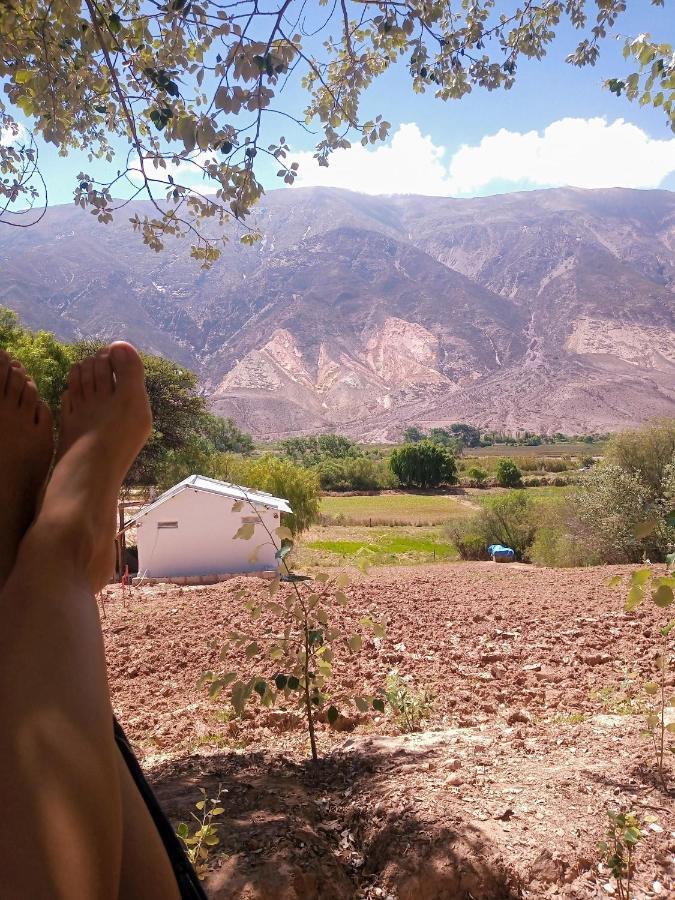 Dormir Con Llamas Маймара Экстерьер фото