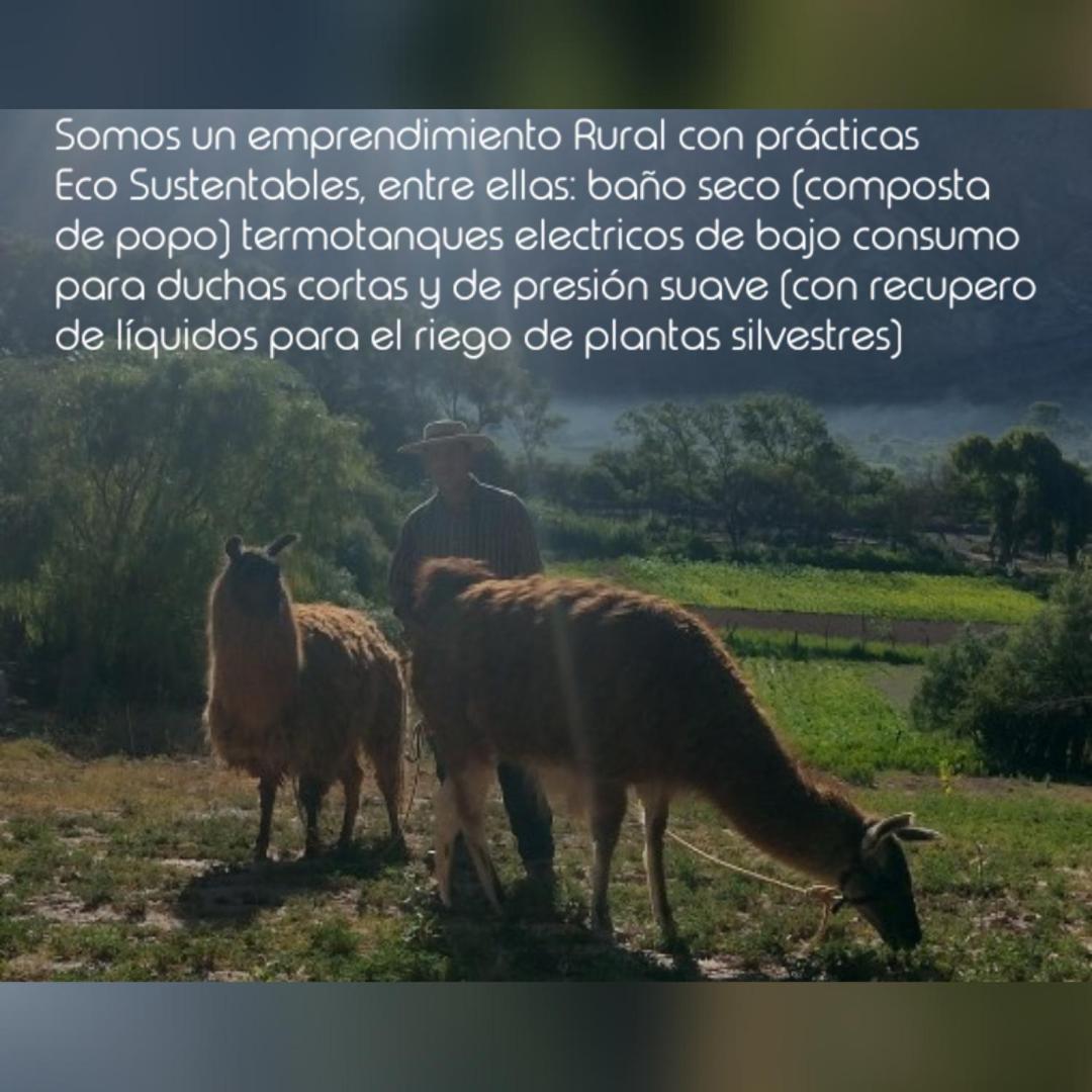 Dormir Con Llamas Маймара Экстерьер фото